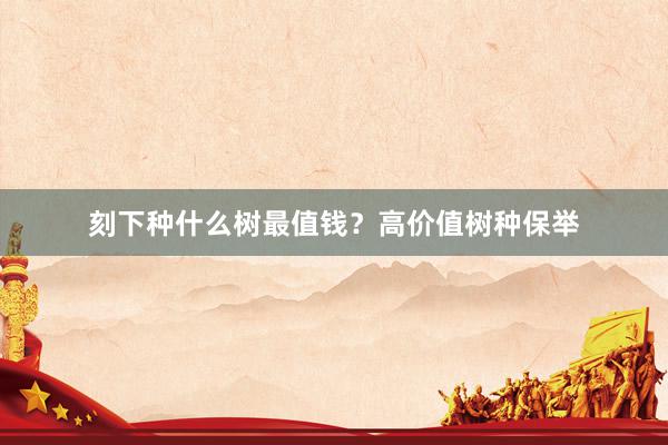 刻下种什么树最值钱？高价值树种保举