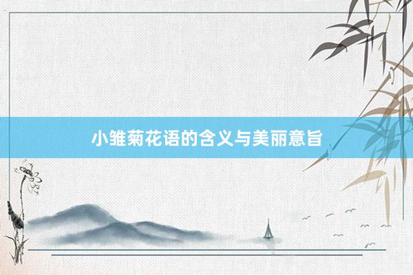 小雏菊花语的含义与美丽意旨