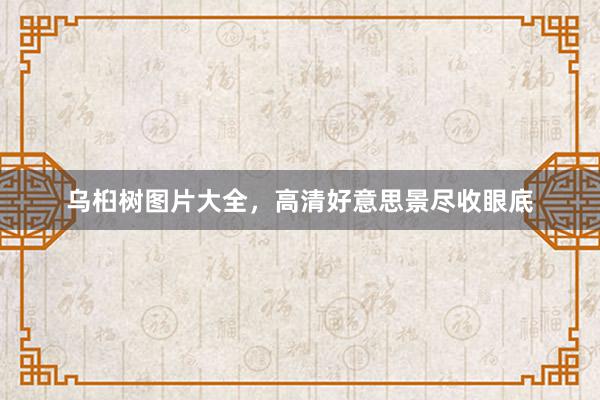 乌桕树图片大全，高清好意思景尽收眼底
