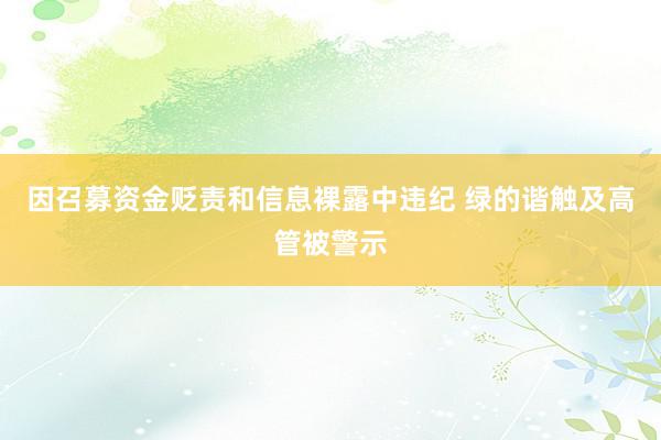 因召募资金贬责和信息裸露中违纪 绿的谐触及高管被警示