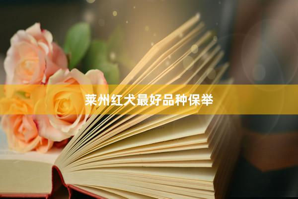 莱州红犬最好品种保举