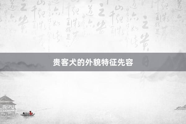 贵客犬的外貌特征先容