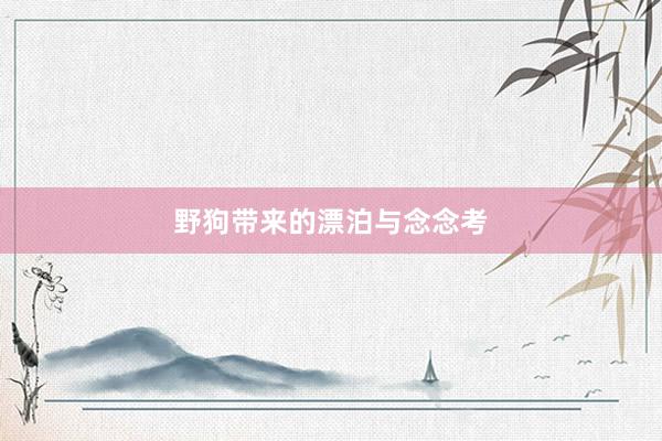 野狗带来的漂泊与念念考